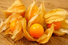 農(nóng)業(yè)自動氣象站助力菇娘規(guī)?；N植